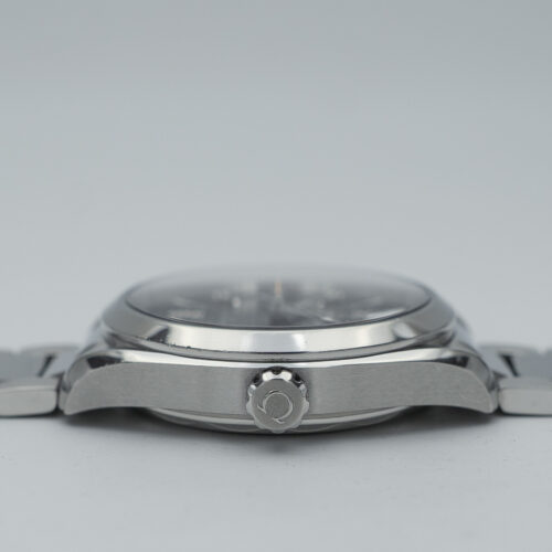 Omega Seamaster Aqua Terra - 2019