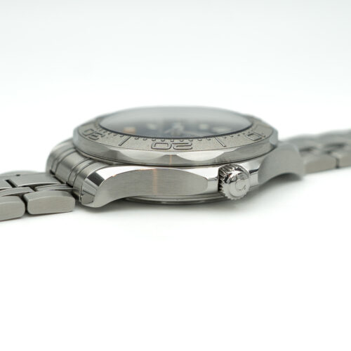 Omega Seamaster Professional - Beijing 2022 - 2023