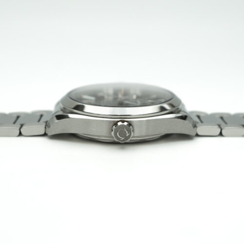Omega Seamaster Aqua Terra - 2022 - Norsk